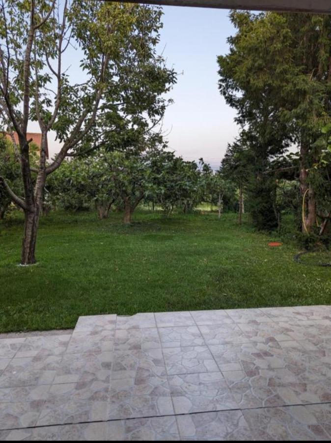 Apartment Filipovic Podgorica Esterno foto